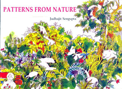 PATTERNS FROM NATURE