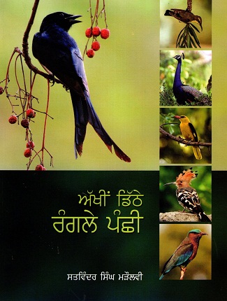 Akheen Dithe Rangle Panchi (Punjabi)