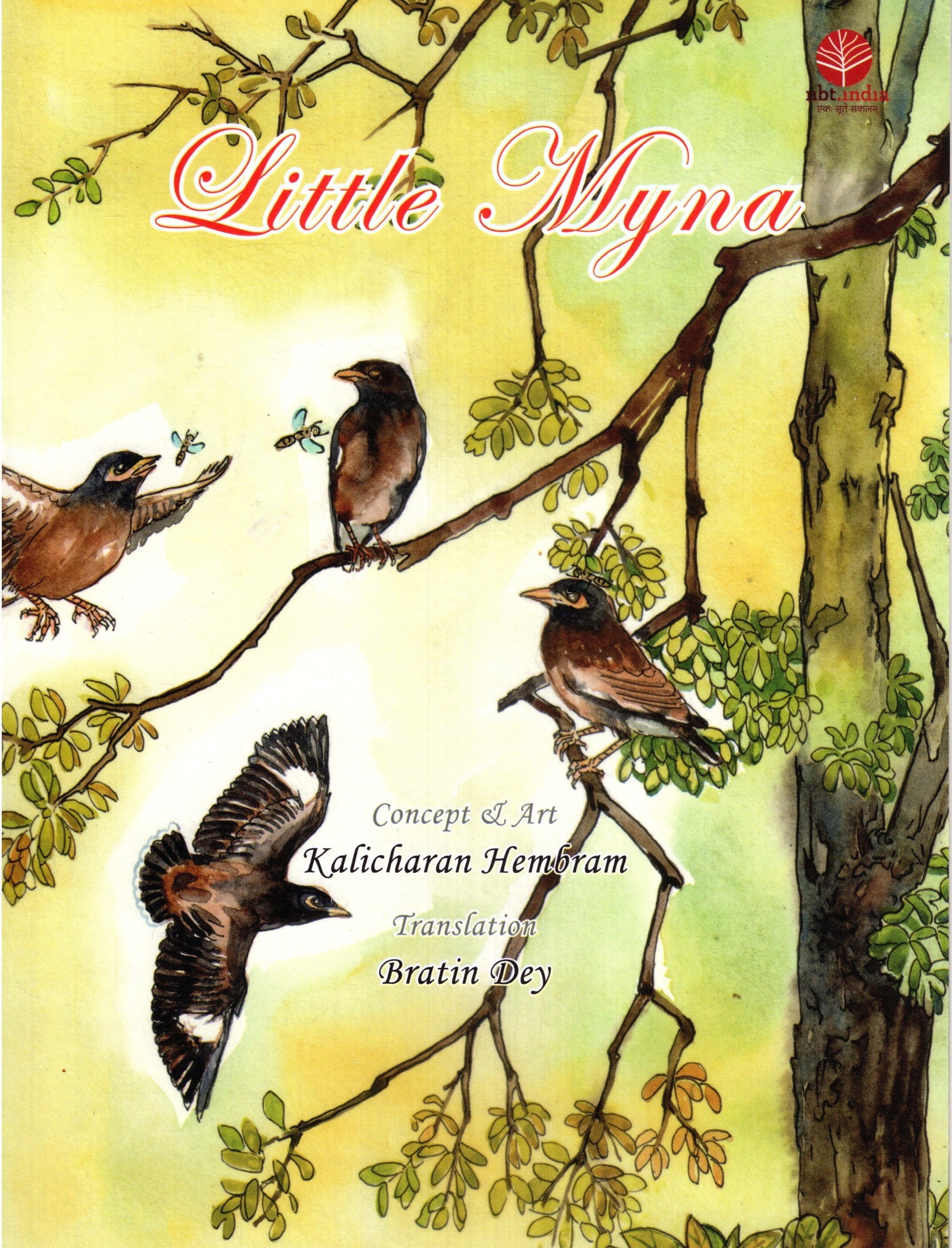 LITTLE MYNA